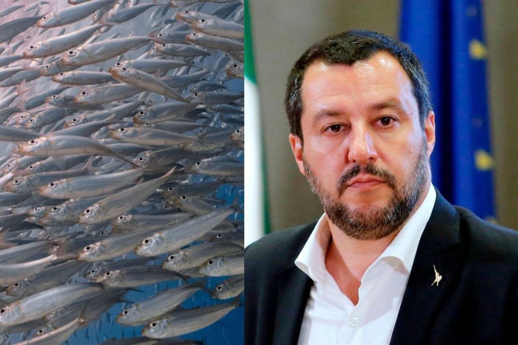 Cosenza, i calabresi non si legano. 6000 Sardine pronte a #stutarlitutti