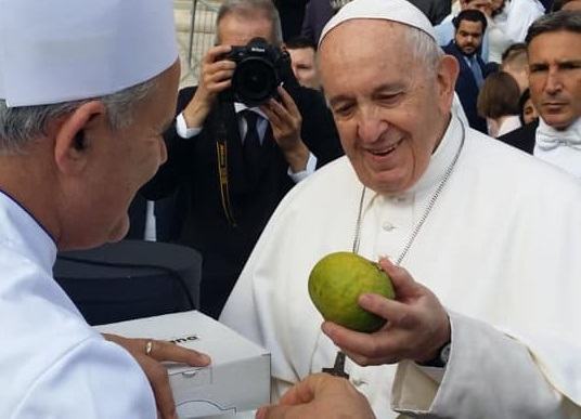 Papa Francesco incantato dal bergamotto, il dono di Reggio Calabria in piazza San Pietro – FOTO