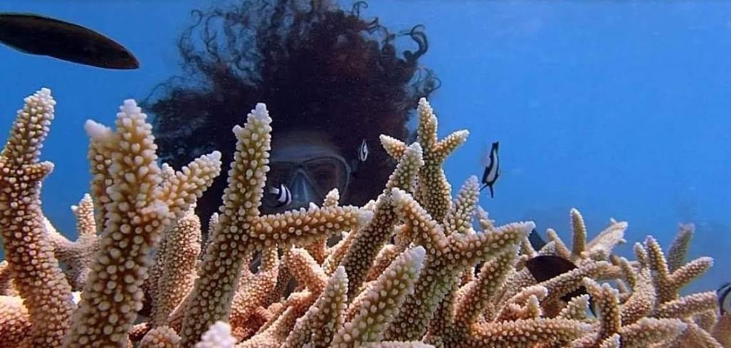 Emily, ‘peddarota purosangue’. Dallo Stretto alle Maldive per amore del mare e dei fondali – FOTO