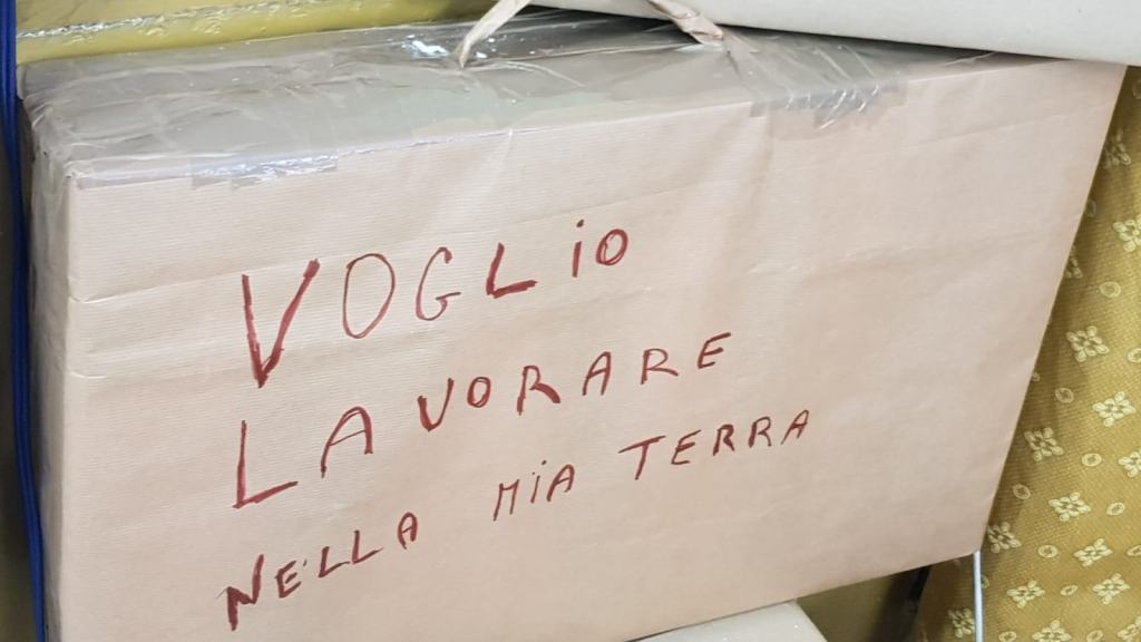 Disoccupazione e carenza di personale: Confesercenti denuncia il ‘paradosso’ di Reggio