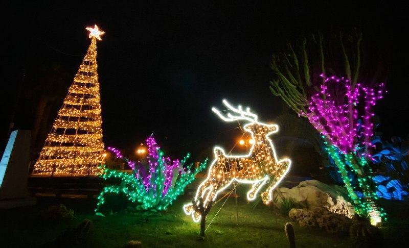 ‘Concerti di Natale’, al via la rassegna a Reggio Calabria