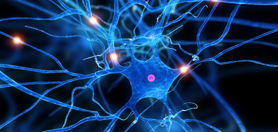 Reggio, una favola per aiutare a parlare della Sclerosi Multipla di un genitore