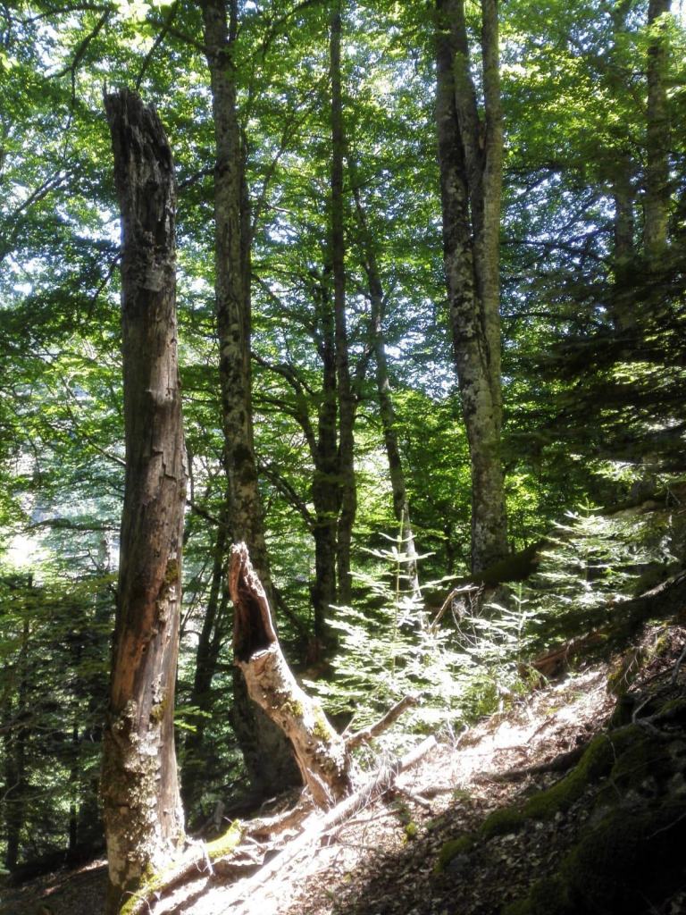 Aspromonte, prosegue percorso riconoscimento Unesco per Valle Infernale