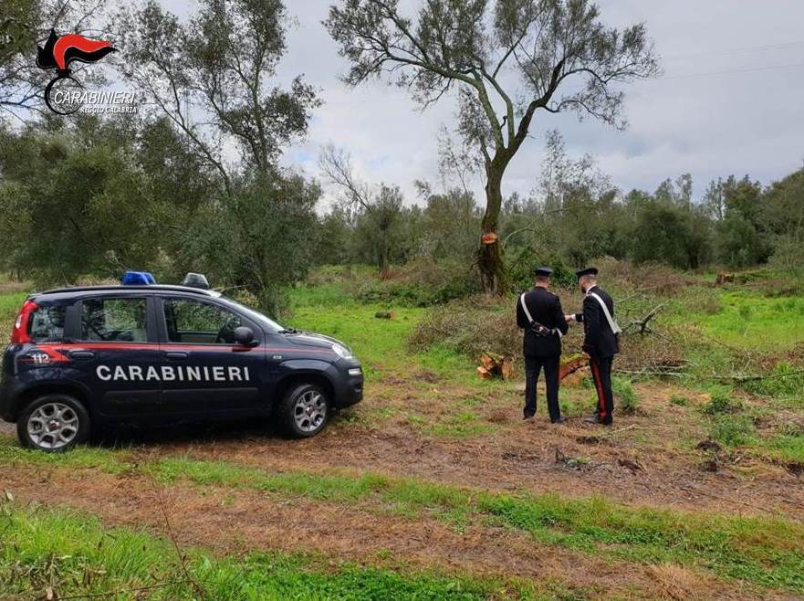 ‘Piana stupefacente’: disarticolata la filiera della droga operante a Reggio e in altre parti d’Italia