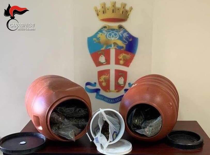 Marijuana in dei fusti di plastica: il ritrovamento in provincia di Reggio