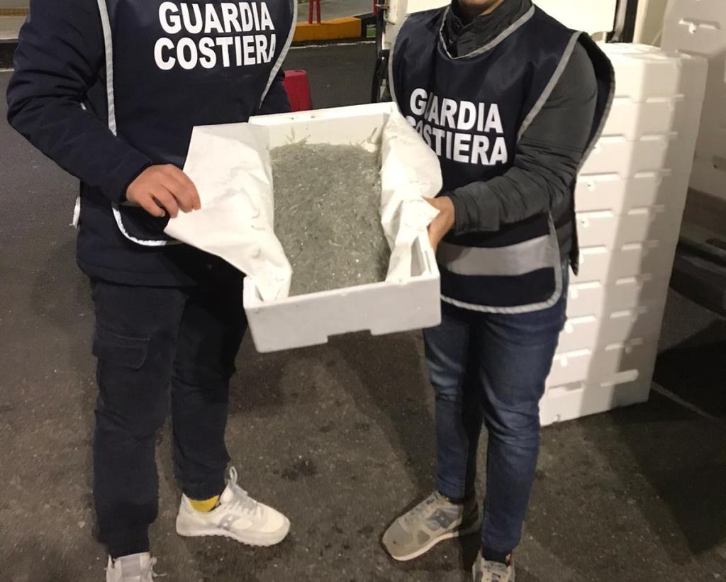 Reggio Calabria – Operazione Nannata, sequestrati oltre 1.000 kg di novellame di sarda – FOTO