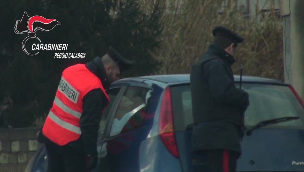 Controlli antidroga nella Piana di Gioia Tauro: scovata una piantagione di marijuana