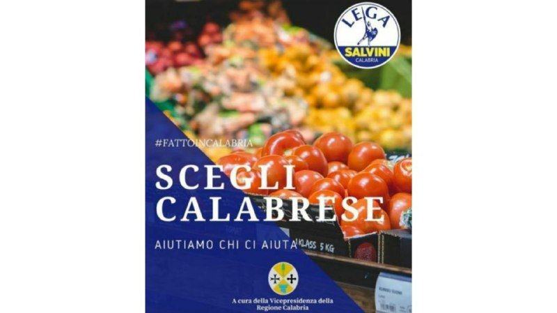 Campagna regionale “Scegli calabrese” con simbolo Lega: scoppia la polemica. Interrogazione del Pd