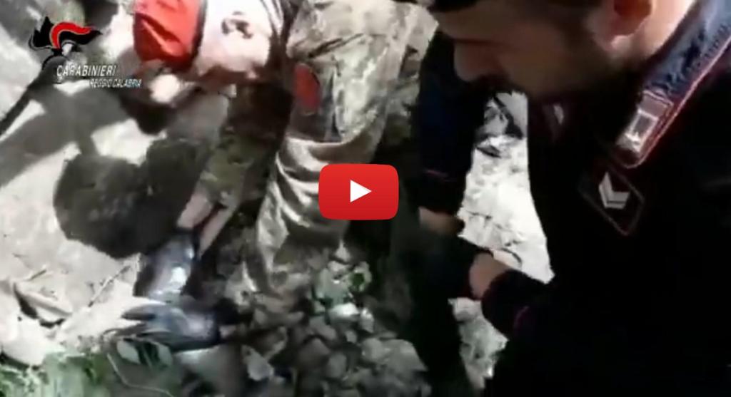 Ritrovati fucile e cartucce interrati: l’operazione dei Carabinieri