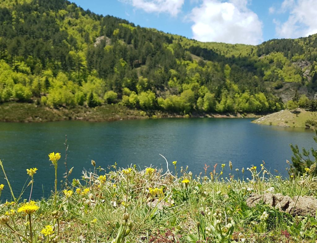 Ciclista perde l’orientamento nel Parco d’Aspromonte: ritrovato