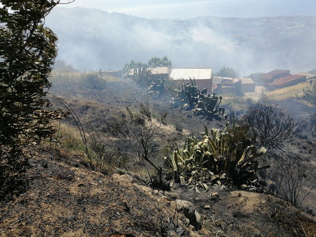 Forestazione e prevenzione incendi: la Regione Calabria stanzia oltre 23 milioni