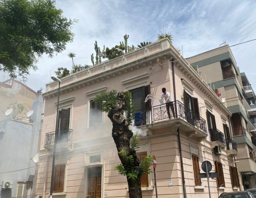 Reggio, a fuoco un albero del centro. Incendio domato dal balcone – FOTO