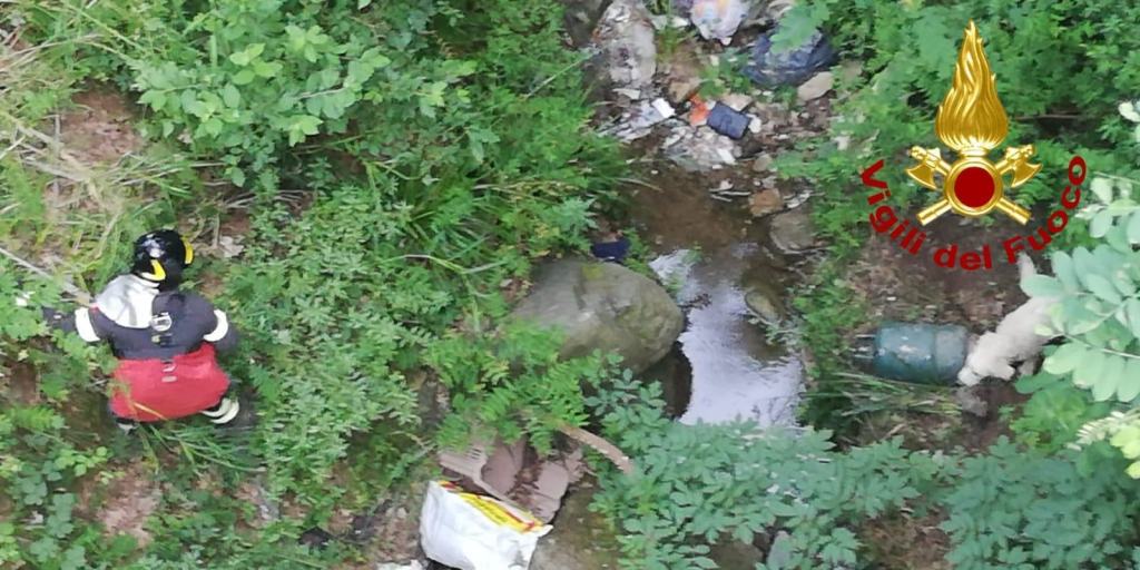 Disavventura a lieto fine per un cucciolo di pastore maremmano – FOTO