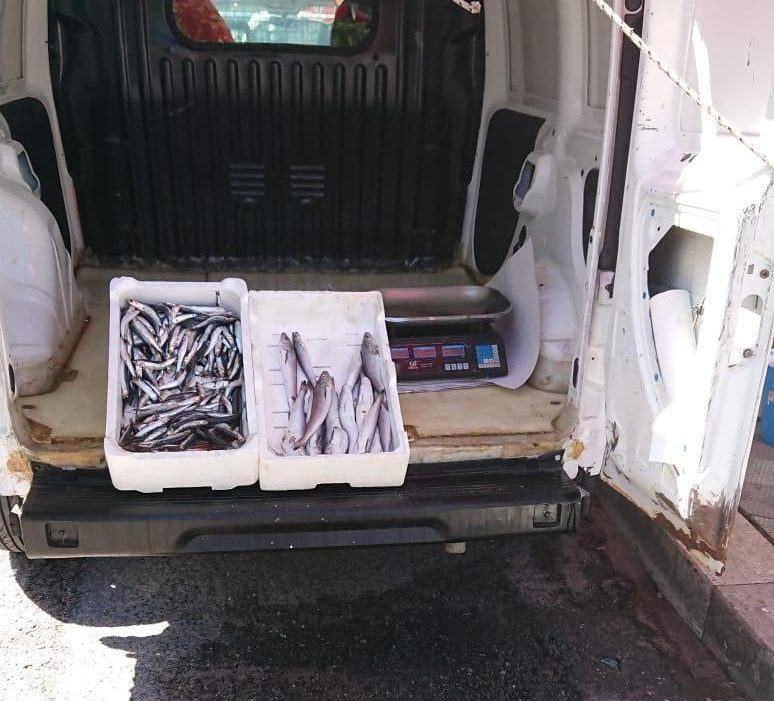 Reggio, vendeva prodotto ittico per strada: denunciato