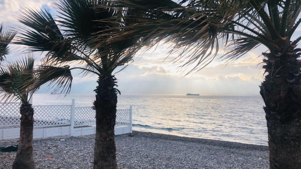 Reggio – Nuovo lido in città, è Flowery Beach