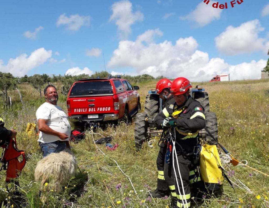 Pecora cade in un dirupo, salvata dai Vigili del Fuoco – FOTO