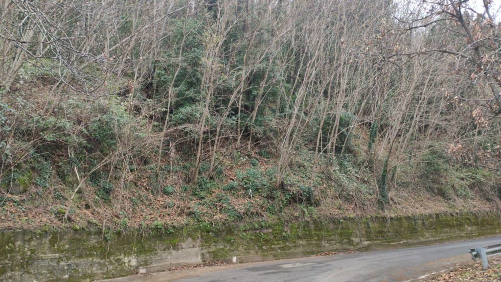 Calabria, al via interventi di protezione delle ‘Serre Calabre’