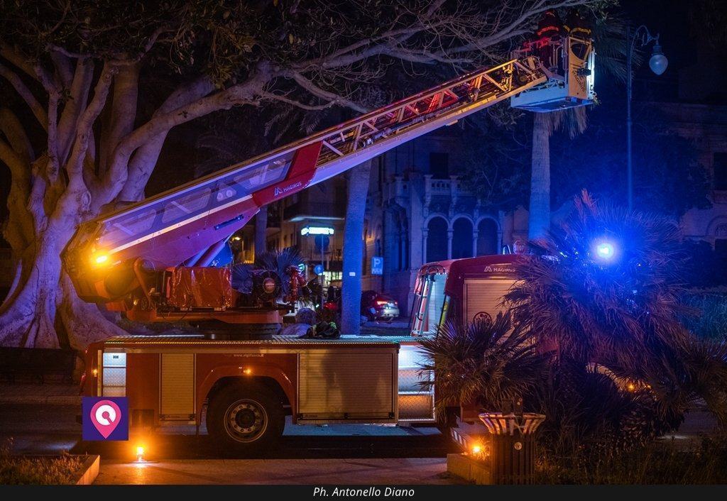 Reggio, ramo pericolante sul lungomare: l’intervento dei Vigili del Fuoco – FOTO