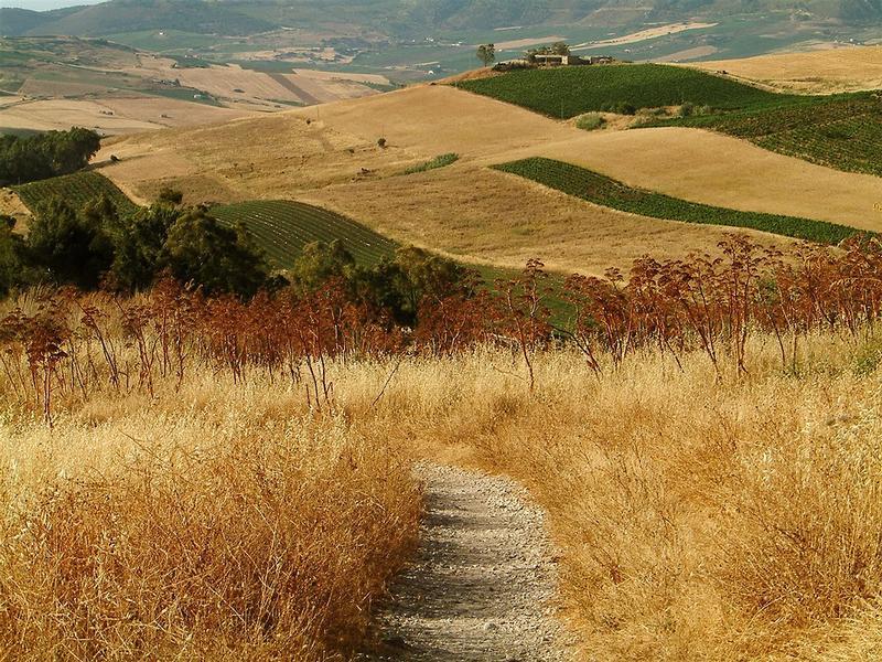 Sviluppo aree rurali: oltre 6 milioni di euro per 80 Comuni calabresi