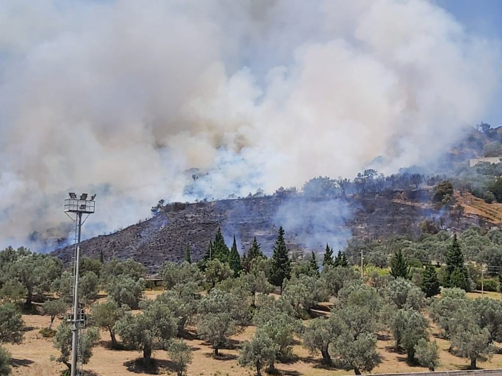Bruciano le colline: incendio in provincia di Reggio – FOTO