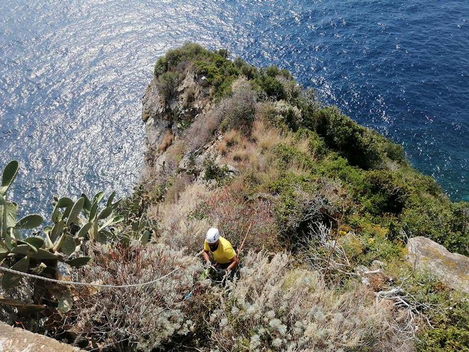 Due cittadini ripuliscono la Marinella di Palmi dalla spazzatura – FOTO