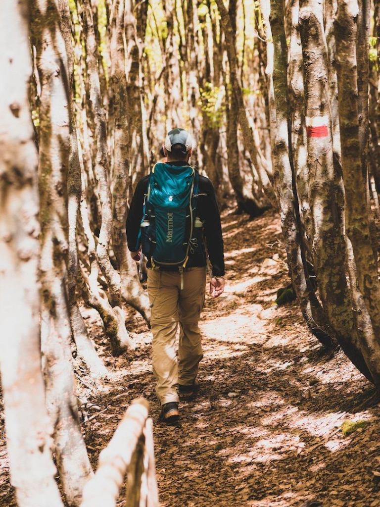 Aspromonte, al via iniziativa ‘Adotta un sentiero del Parco’