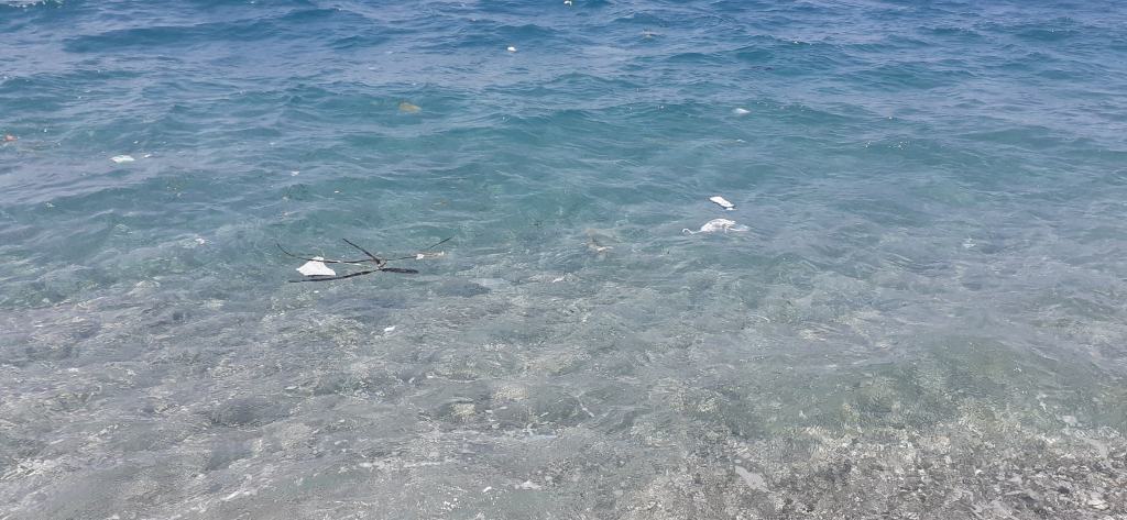 Un mare inquinato non aiuta la Calabria