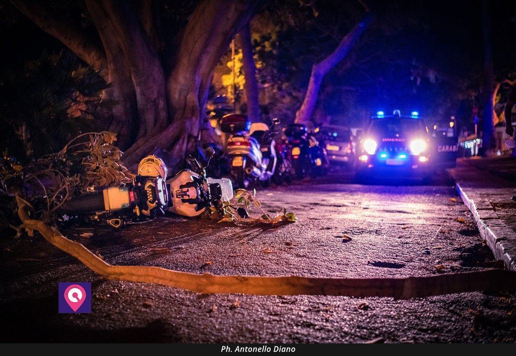 Reggio, ramo cade su una moto parcheggiata sul lungomare – FOTO