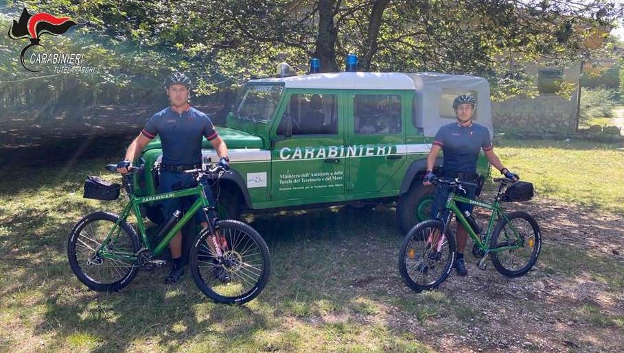 Parco nazionale d’Aspromonte, sanzioni elevate dai militari ‘in sella’ all’interno dell’area protetta