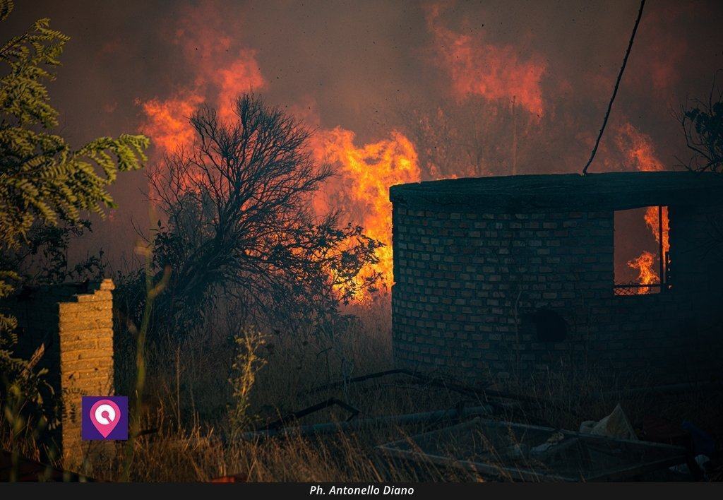Grosso incendio in provincia di Reggio: evacuate anche alcune case – FOTO
