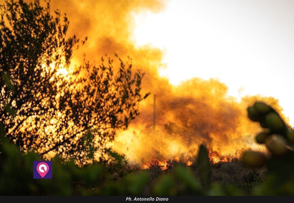 Incendi, Occhiuto preoccupato: ‘Sarà un’estate peggiore rispetto allo scorso anno’