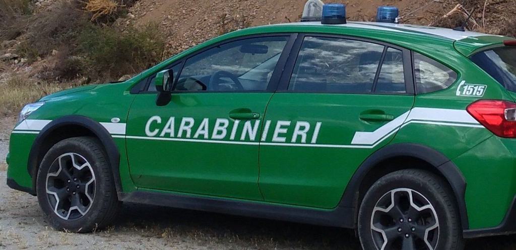 Reggio, incendiano un capannone industriale: arrestati mandante ed esecutore