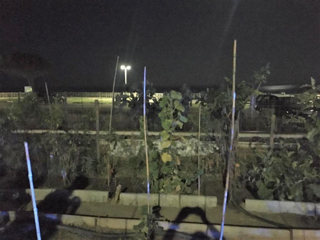 Tragedia sui binari a Roccella. Muore ragazzo investito da un treno