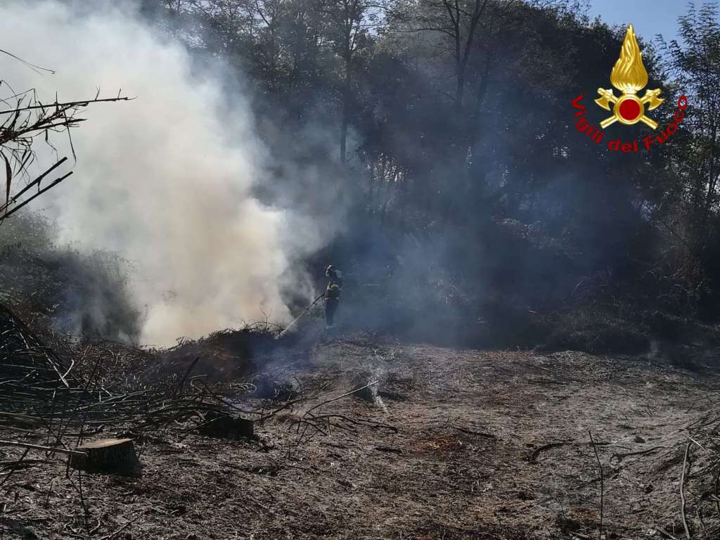 Calabria, vasto incendio minaccia cimitero: bruciati oltre 10 mila metri quadri di vegetazione