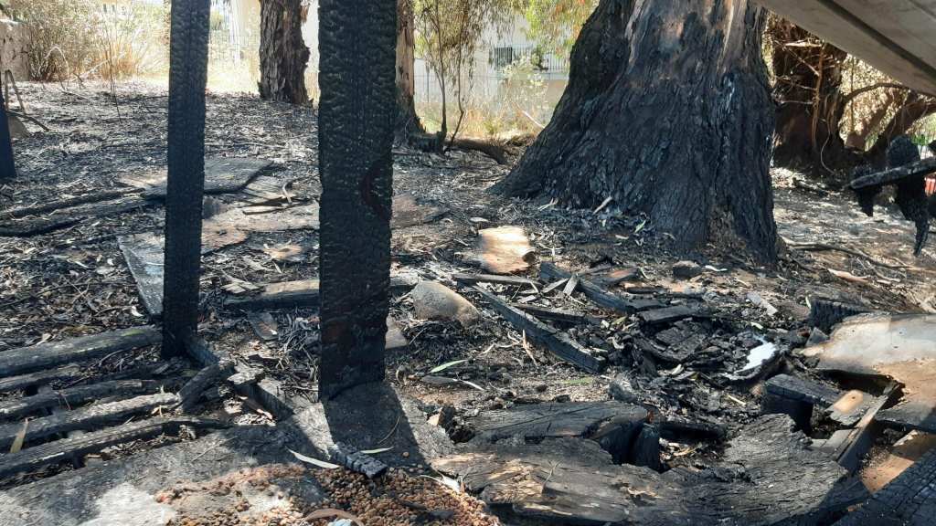 Incendio al Gattonero, P. Imbalzano: ‘Mancanza di rispetto per persone e animali’
