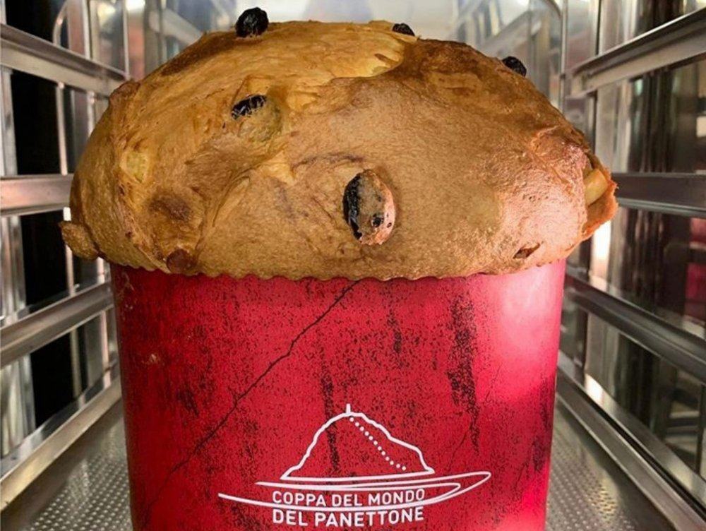 Coppa del mondo del panettone: prima tappa a Reggio