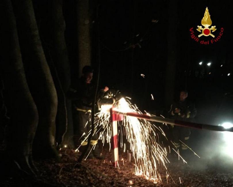 Gambarie, storia a lieto fine per un cercatore di funghi disperso nel bosco
