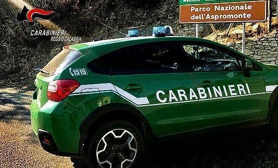 Carabinieri Forestali