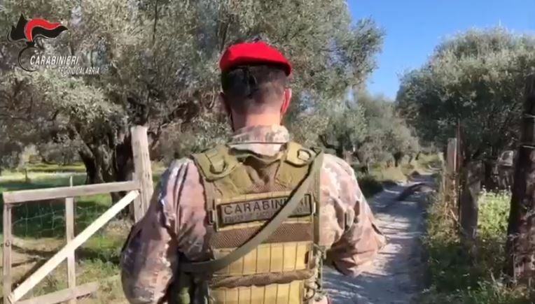Carabinieri