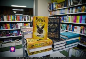 Apertura Mondadori Libreria (44)