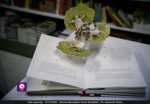 Apertura Mondadori Libreria (7)