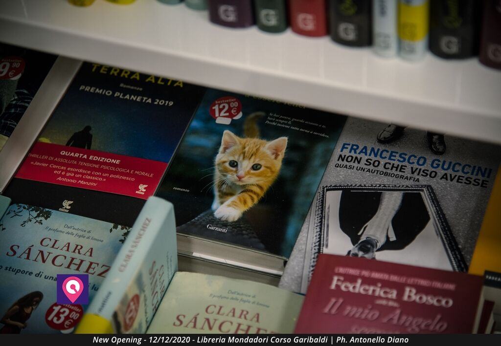 Apertura Mondadori Libreria (81)
