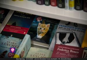 Apertura Mondadori Libreria (81)
