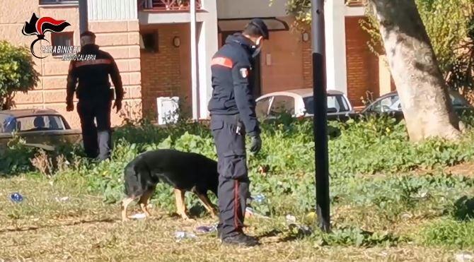 Carabinieri Cane 1