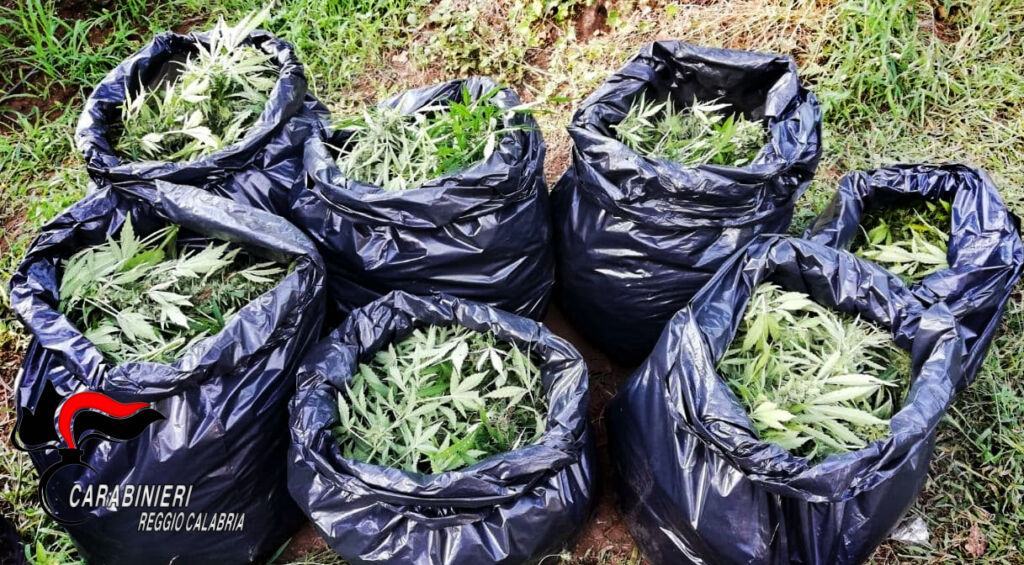 Marijuana Carabinieri