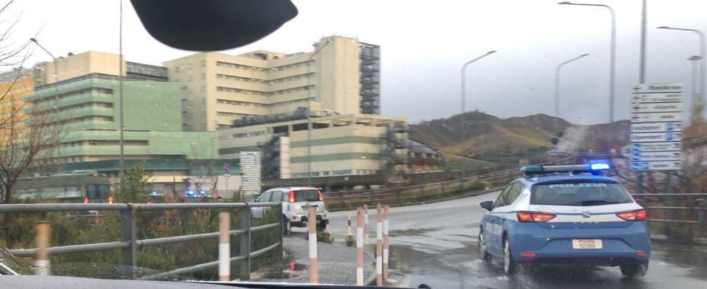 Vaccino Trasporto (4)