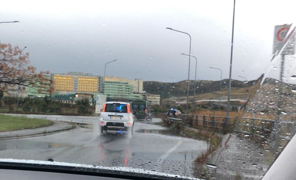 Vaccino Trasporto (8)