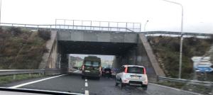 Vaccino Trasporto (9)