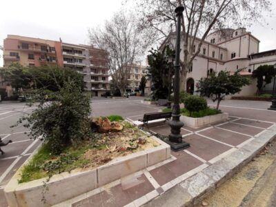 Albero Caduto 1