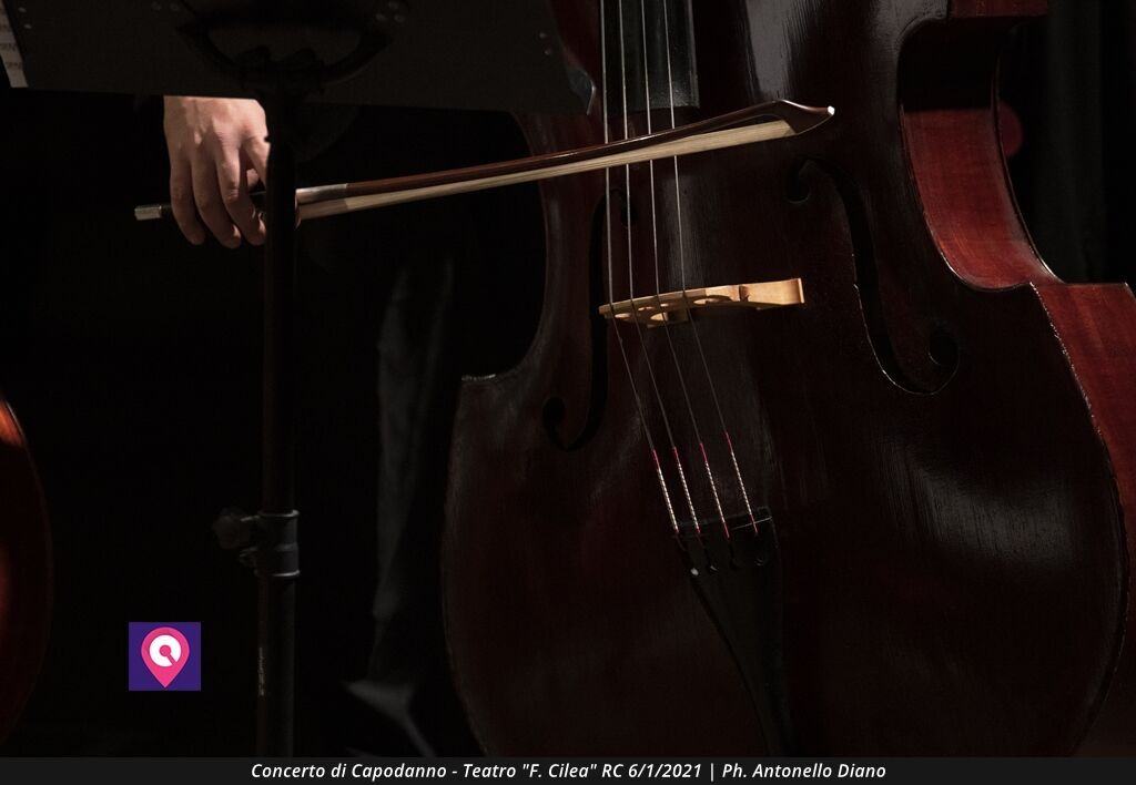 Concerto Capodanno (54)